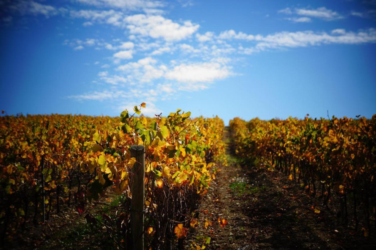 Vila Charme Au Coeur Des Vignes Malras Exteriér fotografie